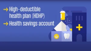 best insurance plan if you rarely go to the doctor,compare insurance plans side-by-side,BCBS Health Insurance Deductibles Copays Coinsurance,Best Blue Cross Blue Shield Plan,Is Final Expense Insurance Worth It After Age 60?,Final Expense Insurance vs. Prepaid Funeral Plan,Final Expense Insurance for Seniors on a Fixed Income,Final Expense Insurance,Is Final Expense Insurance Tax-Free,Questions to Ask Before Buying Final Expense Insurance,Final Expense Insurance Myths,How Much Does Final Expense Insurance Cost,Final Expense vs. Life Insurance,Best Time to Buy Life Insurance,life insurance myths,life insurance coverage,Term Life Insurance vs Whole Life Insurance,Life Insurance,2026 Health Insurance Trends,insurance services, insurance solutions, insurance agency, insurance company online, compare insurance quotes, auto insurance, car insurance quotes, cheap auto insurance, affordable car insurance, auto insurance coverage, car insurance online, home insurance, homeowners insurance quotes, house insurance coverage, cheap home insurance, homeowners protection insurance, health insurance, private health insurance, affordable health insurance, health insurance plans, health insurance for self employed, life insurance, term life insurance, whole life insurance, life insurance quotes, family life insurance, how to choose auto insurance, what does home insurance cover, health insurance benefits explained, why life insurance is important, tips for affordable insurance, affordable health insurance, homeowners insurance quotes, life insurance quotes, cheap home insurance, auto insurance coverage, insurance agency, health insurance plans, term life insurance, health insurance for self employed, car insurance online, homeowners protection insurance, how to choose auto insurance, insurance services, life insurance, affordable car insurance, private health insurance, house insurance coverage, whole life insurance, compare insurance quotes, insurance company online, car insurance quotes, family life insurance, home insurance, auto insurance, tips for affordable insurance, cheap auto insurance, insurance solutions, health insurance benefits explained, why life insurance is important, what does home insurance cover,2026 Health Insurance Trends,Life Insurance,Term Life Insurance vs Whole Life Insurance,life insurance coverage,life insurance myths,Final Expense vs. Life Insurance,How Much Does Final Expense Insurance Cost,Final Expense Insurance Myths,Questions to Ask Before Buying Final Expense Insurance,Is Final Expense Insurance Tax-Free,Final Expense Insurance,Final Expense Insurance for Seniors on a Fixed Income,Final Expense Insurance vs. Prepaid Funeral Plan,Is Final Expense Insurance Worth It After Age 60?,Health-Insurance-For-Chronic-Diseases-A-Complete-Guide