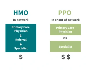 Blue Cross vs Aetna PPO vs HMO,Blue Cross vs Aetna customer service,Blue Cross Blue Shield vs UnitedHealthcare, Blue Cross vs UnitedHealthcare out-of-pocket costs,PPO vs HMO options Blue Cross compared to UnitedHealthcare,Final Expense Insurance vs. Prepaid Funeral Plan,Final Expense Insurance for Seniors on a Fixed Income,Final Expense Insurance,Is Final Expense Insurance Tax-Free,Questions to Ask Before Buying Final Expense Insurance,Final Expense Insurance Myths,How Much Does Final Expense Insurance Cost,Final Expense vs. Life Insurance,Best Time to Buy Life Insurance,life insurance myths,life insurance coverage,Term Life Insurance vs Whole Life Insurance,Life Insurance,2026 Health Insurance Trends,insurance services, insurance solutions, insurance agency, insurance company online, compare insurance quotes, auto insurance, car insurance quotes, cheap auto insurance, affordable car insurance, auto insurance coverage, car insurance online, home insurance, homeowners insurance quotes, house insurance coverage, cheap home insurance, homeowners protection insurance, health insurance, private health insurance, affordable health insurance, health insurance plans, health insurance for self employed, life insurance, term life insurance, whole life insurance, life insurance quotes, family life insurance, how to choose auto insurance, what does home insurance cover, health insurance benefits explained, why life insurance is important, tips for affordable insurance, affordable health insurance, homeowners insurance quotes, life insurance quotes, cheap home insurance, auto insurance coverage, insurance agency, health insurance plans, term life insurance, health insurance for self employed, car insurance online, homeowners protection insurance, how to choose auto insurance, insurance services, life insurance, affordable car insurance, private health insurance, house insurance coverage, whole life insurance, compare insurance quotes, insurance company online, car insurance quotes, family life insurance, home insurance, auto insurance, tips for affordable insurance, cheap auto insurance, insurance solutions, health insurance benefits explained, why life insurance is important, what does home insurance cover,2026 Health Insurance Trends,Life Insurance,Term Life Insurance vs Whole Life Insurance,life insurance coverage,life insurance myths,Final Expense vs. Life Insurance,How Much Does Final Expense Insurance Cost,Final Expense Insurance Myths,Questions to Ask Before Buying Final Expense Insurance,Is Final Expense Insurance Tax-Free,Final Expense Insurance,Final Expense Insurance for Seniors on a Fixed Income,Final Expense Insurance vs. Prepaid Funeral Plan