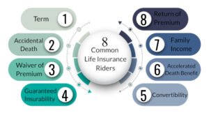 Life Insurance Policy Riders Explained,How Much Life Insurance Coverage Do You Need,Term vs Whole Life Insurance,Life Insurance Buying Guide, Family Financial Protection Insurance, Financial Planning with Life Insurance,Life Insurance Policy for Family Protection, Life Insurance for Your Family, Oral GLP-1 Insurance Game Changer,ADA Obesity Insurance Denial,septuple-copay-shock-2026-health-insurance,Mental Health Ghost Networks,GLP-1 Coverage War,Health Sharing Plans,Medical Tourism for High Deductible Families,Negotiating Cash Prices With Insurance,HSA Stealth Retirement Account,Biohacking Insurance Coverage,Silver Gig Health Insurance,Digital Nomad Insurance Trap,ChatGPT vs Benefits Handbook,ACA vs Medicare,Post-Grad Health Insurance,Does Social Security Cover Funeral Costs,Final Expense Insurance vs. Prepaid Funeral Plan,Final Expense Insurance for Seniors on a Fixed Income,Final Expense Insurance,Is Final Expense Insurance Tax-Free,Questions to Ask Before Buying Final Expense Insurance,Final Expense Insurance Myths,How Much Does Final Expense Insurance Cost,Final Expense vs. Life Insurance,Best Time to Buy Life Insurance,life insurance myths,life insurance coverage,Term Life Insurance vs Whole Life Insurance,Life Insurance,2026 Health Insurance Trends,insurance services, insurance solutions, insurance agency, insurance company online, compare insurance quotes, auto insurance, car insurance quotes, cheap auto insurance, affordable car insurance, auto insurance coverage, car insurance online, home insurance, homeowners insurance quotes, house insurance coverage, cheap home insurance, homeowners protection insurance, health insurance, private health insurance, affordable health insurance, health insurance plans, health insurance for self employed, life insurance, term life insurance, whole life insurance, life insurance quotes, family life insurance, how to choose auto insurance, what does home insurance cover, health insurance benefits explained, why life insurance is important, tips for affordable insurance, affordable health insurance, homeowners insurance quotes, life insurance quotes, cheap home insurance, auto insurance coverage, insurance agency, health insurance plans, term life insurance, health insurance for self employed, car insurance online, homeowners protection insurance, how to choose auto insurance, insurance services, life insurance, affordable car insurance, private health insurance, house insurance coverage, whole life insurance, compare insurance quotes, insurance company online, car insurance quotes, family life insurance, home insurance, auto insurance, tips for affordable insurance, cheap auto insurance, insurance solutions, health insurance benefits explained, why life insurance is important, what does home insurance cover,2026 Health Insurance Trends,Life Insurance,Term Life Insurance vs Whole Life Insurance,life insurance coverage,life insurance myths,Final Expense vs. Life Insurance,How Much Does Final Expense Insurance Cost,Final Expense Insurance Myths,Questions to Ask Before Buying Final Expense Insurance,Is Final Expense Insurance Tax-Free,Final Expense Insurance,Final Expense Insurance for Seniors on a Fixed Income,Final Expense Insurance vs. Prepaid Funeral Plan,Does Social Security Cover Funeral Costs,Post-Grad Health Insurance,ACA vs Medicare