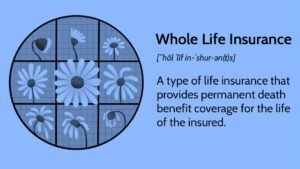 Life Insurance Buying Guide, Family Financial Protection Insurance, Financial Planning with Life Insurance,Life Insurance Policy for Family Protection, Life Insurance for Your Family, Oral GLP-1 Insurance Game Changer,ADA Obesity Insurance Denial,septuple-copay-shock-2026-health-insurance,Mental Health Ghost Networks,GLP-1 Coverage War,Health Sharing Plans,Medical Tourism for High Deductible Families,Negotiating Cash Prices With Insurance,HSA Stealth Retirement Account,Biohacking Insurance Coverage,Silver Gig Health Insurance,Digital Nomad Insurance Trap,ChatGPT vs Benefits Handbook,ACA vs Medicare,Post-Grad Health Insurance,Does Social Security Cover Funeral Costs,Final Expense Insurance vs. Prepaid Funeral Plan,Final Expense Insurance for Seniors on a Fixed Income,Final Expense Insurance,Is Final Expense Insurance Tax-Free,Questions to Ask Before Buying Final Expense Insurance,Final Expense Insurance Myths,How Much Does Final Expense Insurance Cost,Final Expense vs. Life Insurance,Best Time to Buy Life Insurance,life insurance myths,life insurance coverage,Term Life Insurance vs Whole Life Insurance,Life Insurance,2026 Health Insurance Trends,insurance services, insurance solutions, insurance agency, insurance company online, compare insurance quotes, auto insurance, car insurance quotes, cheap auto insurance, affordable car insurance, auto insurance coverage, car insurance online, home insurance, homeowners insurance quotes, house insurance coverage, cheap home insurance, homeowners protection insurance, health insurance, private health insurance, affordable health insurance, health insurance plans, health insurance for self employed, life insurance, term life insurance, whole life insurance, life insurance quotes, family life insurance, how to choose auto insurance, what does home insurance cover, health insurance benefits explained, why life insurance is important, tips for affordable insurance, affordable health insurance, homeowners insurance quotes, life insurance quotes, cheap home insurance, auto insurance coverage, insurance agency, health insurance plans, term life insurance, health insurance for self employed, car insurance online, homeowners protection insurance, how to choose auto insurance, insurance services, life insurance, affordable car insurance, private health insurance, house insurance coverage, whole life insurance, compare insurance quotes, insurance company online, car insurance quotes, family life insurance, home insurance, auto insurance, tips for affordable insurance, cheap auto insurance, insurance solutions, health insurance benefits explained, why life insurance is important, what does home insurance cover,2026 Health Insurance Trends,Life Insurance,Term Life Insurance vs Whole Life Insurance,life insurance coverage,life insurance myths,Final Expense vs. Life Insurance,How Much Does Final Expense Insurance Cost,Final Expense Insurance Myths,Questions to Ask Before Buying Final Expense Insurance,Is Final Expense Insurance Tax-Free,Final Expense Insurance,Final Expense Insurance for Seniors on a Fixed Income,Final Expense Insurance vs. Prepaid Funeral Plan,Does Social Security Cover Funeral Costs,Post-Grad Health Insurance,ACA vs Medicare
