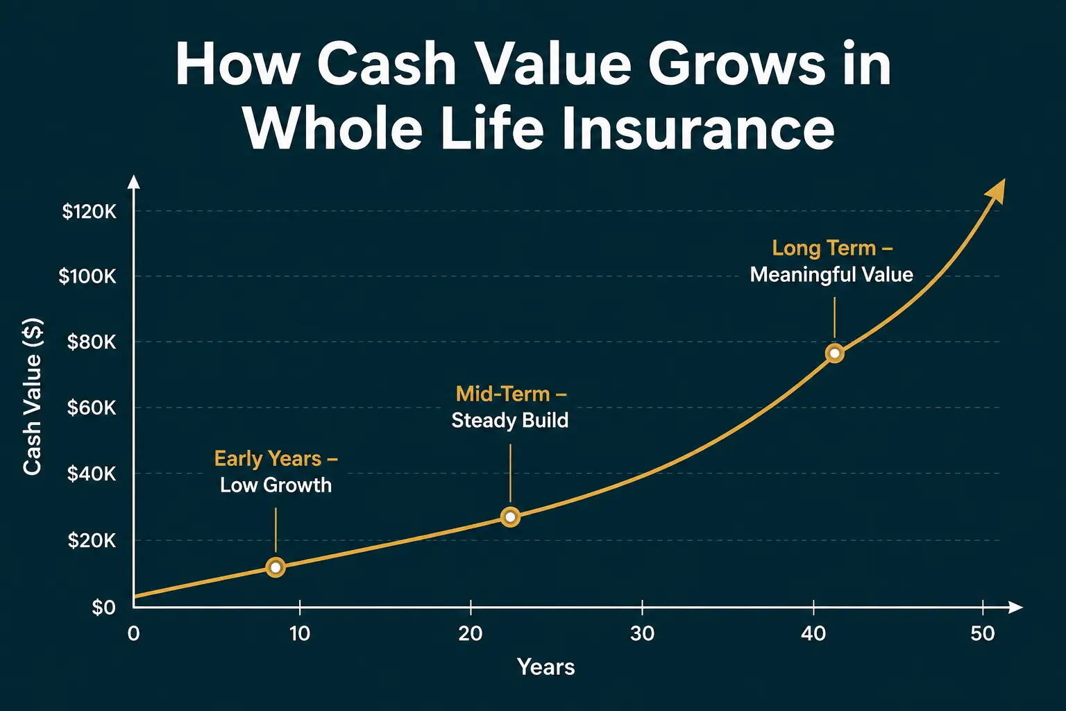 How cash value grows inside a whole life insurance policy over time